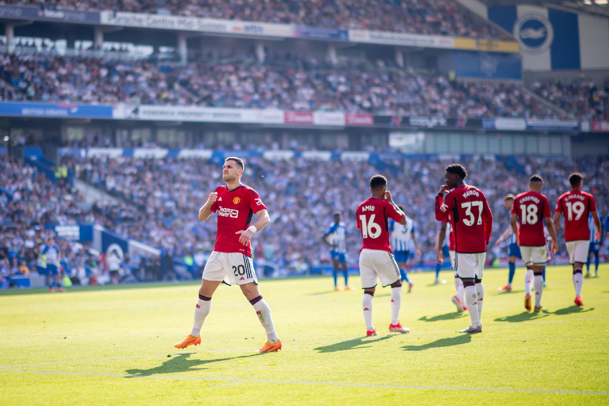 他为年轻球 他为年轻球