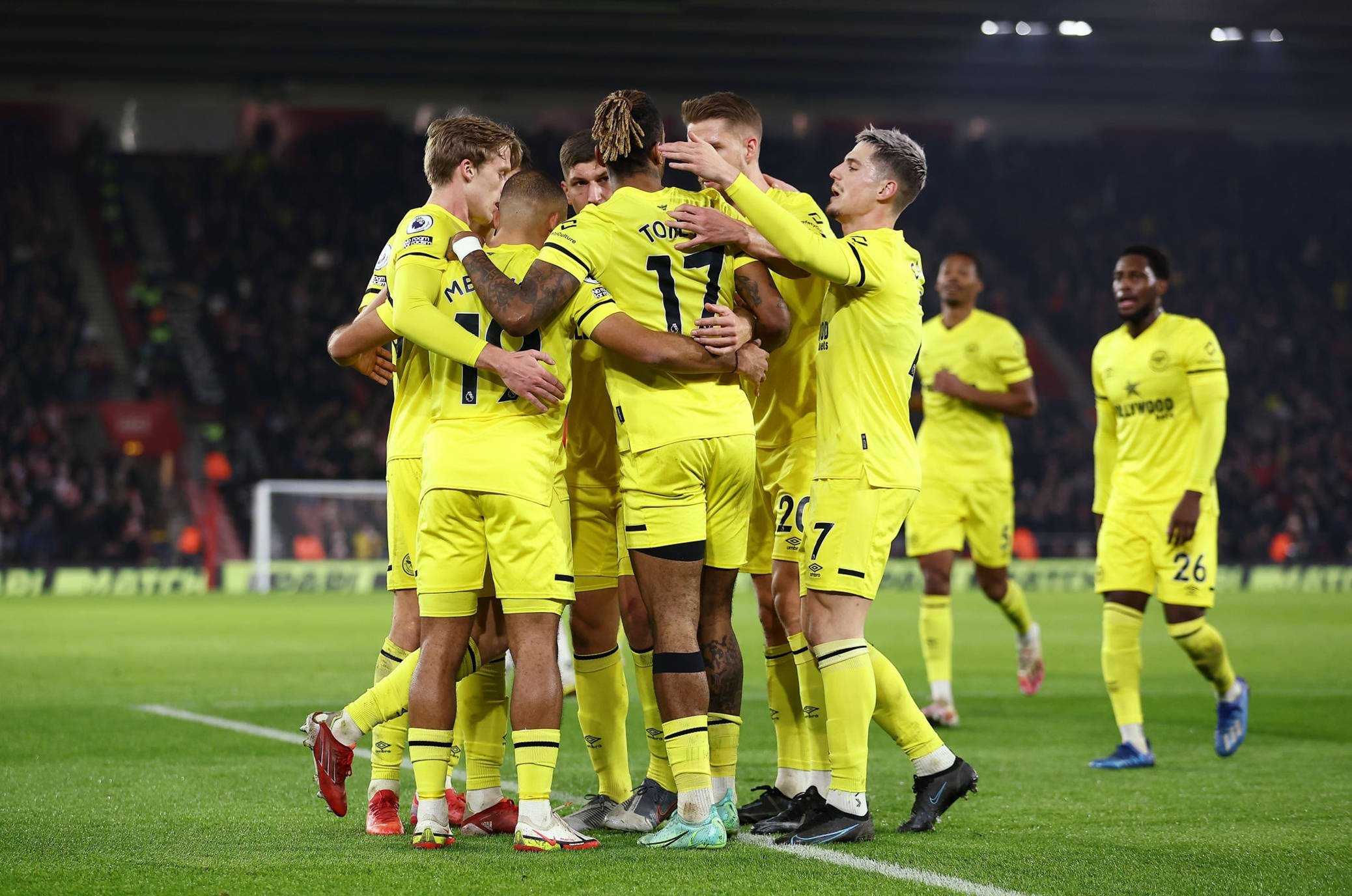 松若不仅仅 松若不仅仅